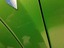 Left mudguard