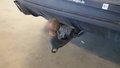 View of trailer tow-bar hitch