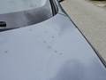 Detailfoto