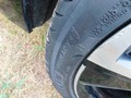 Photo de détail
