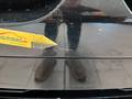 Meer foto's carrosserie