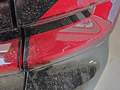 Meer foto's carrosserie