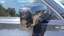 Right side mirror