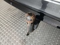 Ansicht Anhängerkupplung