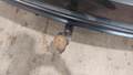 View of trailer tow-bar hitch