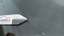 Windscreen