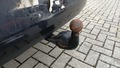 View of trailer tow-bar hitch