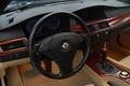 View of steering wheel