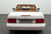 Rear view
