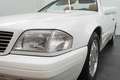 Left view of headlights