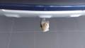 View of trailer tow-bar hitch