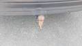 View of trailer tow-bar hitch