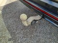 View of trailer tow-bar hitch