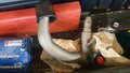 View of trailer tow-bar hitch