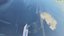 Windscreen