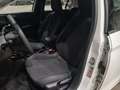 Vista del asiento delantero