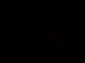 Podrobna fotografija
