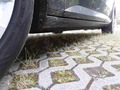 Podrobna fotografija