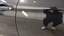 Left rear door