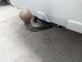 View of trailer tow-bar hitch