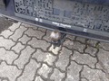 View of trailer tow-bar hitch