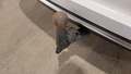 View of trailer tow-bar hitch