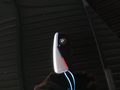 Foto de detalle