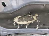 Motorhaube