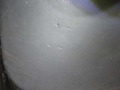 More body photos