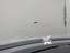 Windscreen