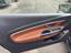 Door side cladding front left