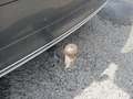 View of trailer tow-bar hitch