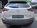 Rear view
