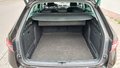 View of boot / luggage space
