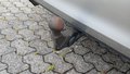 Ansicht Anhängerkupplung