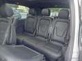 Vista del asiento trasero