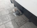 Ayrıntı fotoğrafı