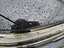 Motorhaube
