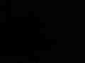 Service record