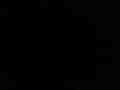 Service record