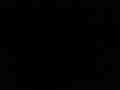 Service record