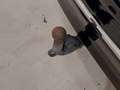 View of trailer tow-bar hitch