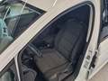 Vista del asiento delantero