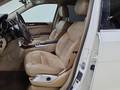 Vista del asiento delantero