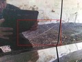 Foto de detalle