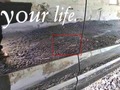 Foto de detalle