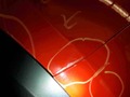 Foto de detalle