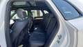 Vista del asiento trasero