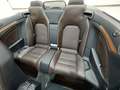 Vista del asiento trasero