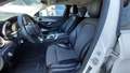 Vista del asiento delantero